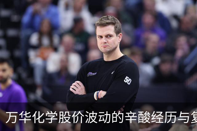 万华化学股价波动的辛酸经历与复苏