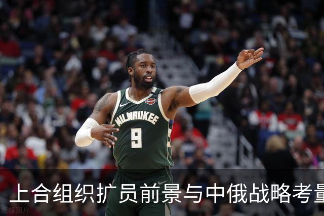 上合组织扩员前景与中俄战略考量