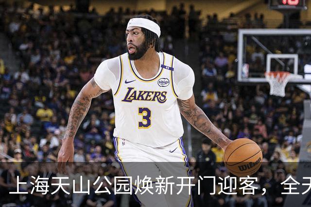上海天山公园焕新开门迎客，全天候免费开放