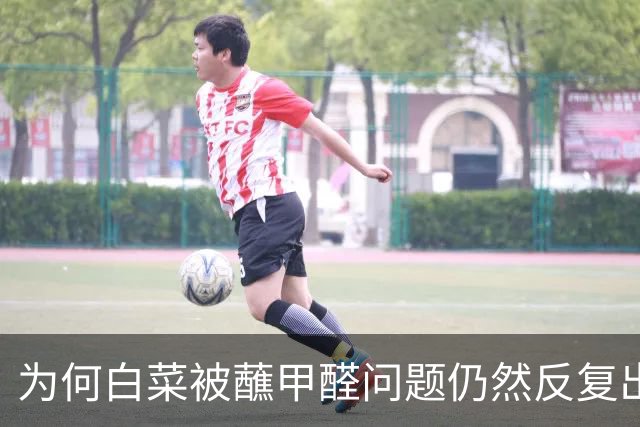 为何白菜被蘸甲醛问题仍然反复出现
