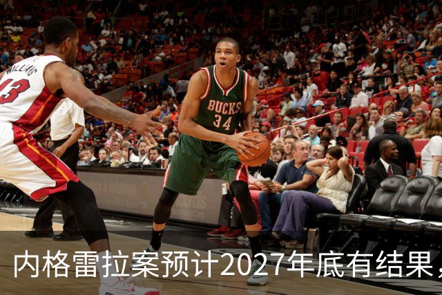 内格雷拉案预计2027年底有结果，庭审或明年秋季进行