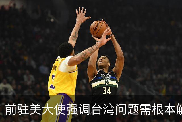 前驻美大使强调台湾问题需根本解决
