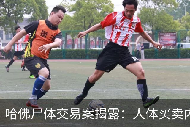 哈佛尸体交易案揭露：人体买卖内幕曝光，引发巨大风波