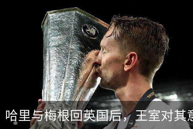 哈里与梅根回英国后，王室对其意图仍感困惑