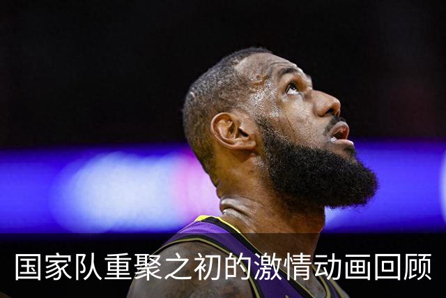 国家队重聚之初的激情动画回顾