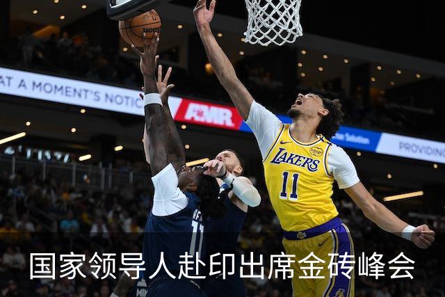 国家领导人赴印出席金砖峰会