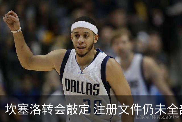 坎塞洛转会敲定 注册文件仍未全部到位