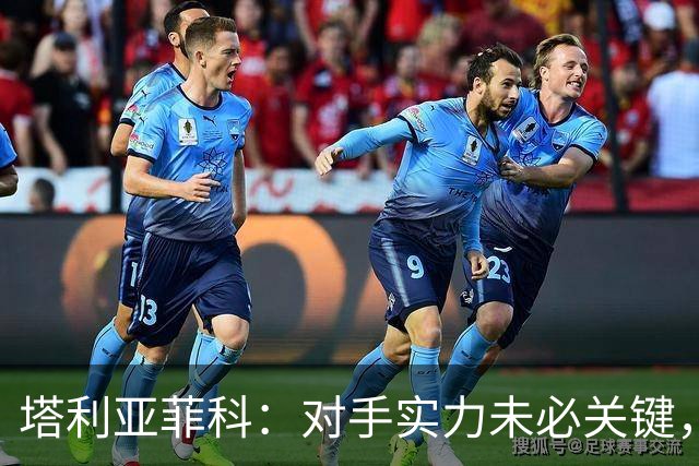 塔利亚菲科：对手实力未必关键，我们仍进世界杯决赛