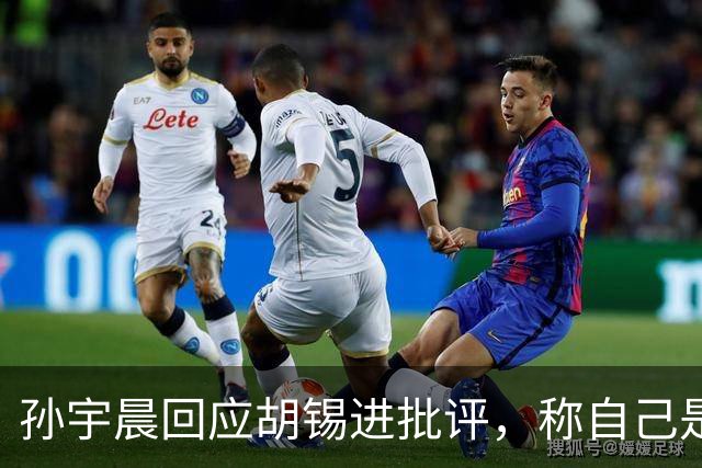 孙宇晨回应胡锡进批评，称自己是“彩礼受害者