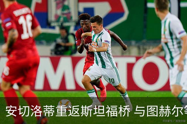 安切洛蒂重返斯坦福桥 与图赫尔等人合影留念