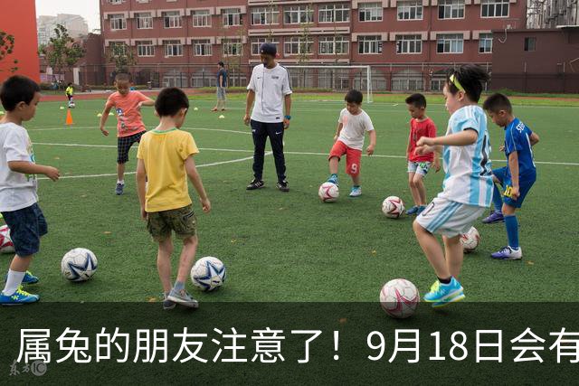 属兔的朋友注意了！9月18日会有新机会和人际关系的变化