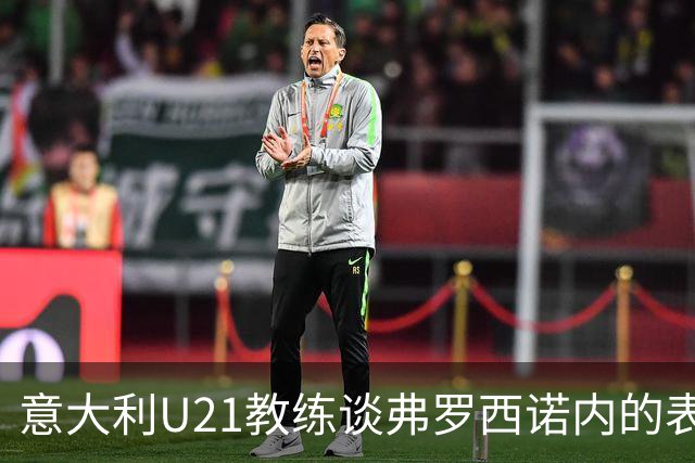 意大利U21教练谈弗罗西诺内的表现及其代表性