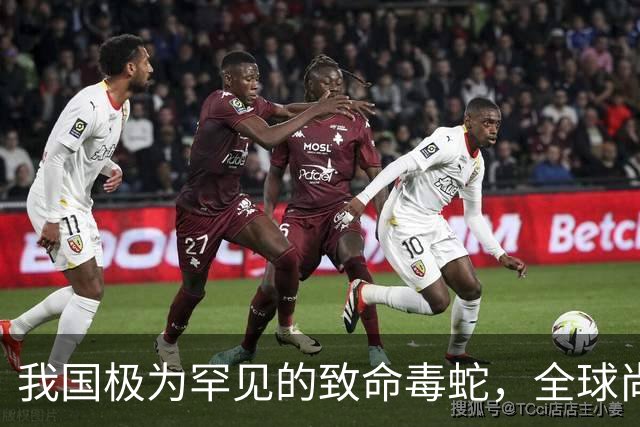 我国极为罕见的致命毒蛇，全球尚无解毒血清，切勿冒险接触！