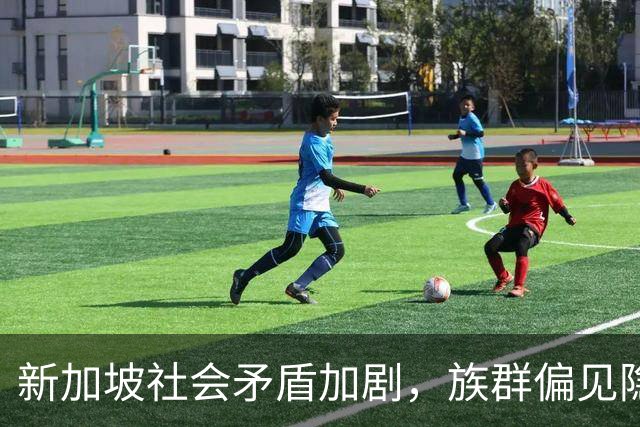 新加坡社会矛盾加剧，族群偏见隐患显现