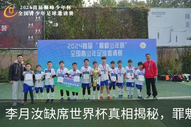 李月汝缺席世界杯真相揭秘，罪魁祸首竟是美国邮政系统问题