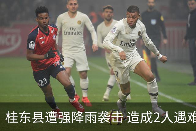 桂东县遭强降雨袭击 造成2人遇难