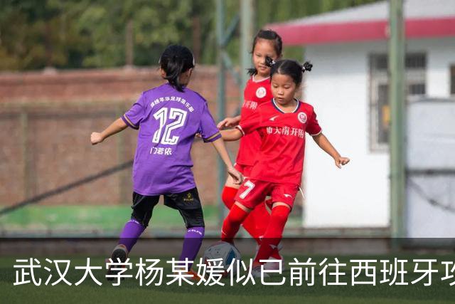 武汉大学杨某媛似已前往西班牙攻读研究生