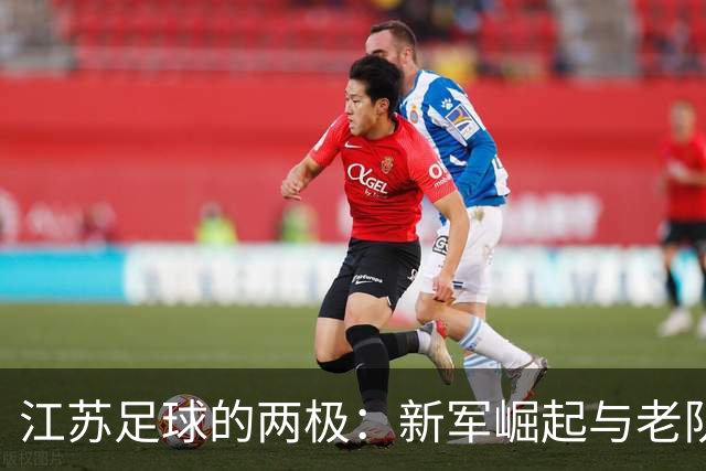 江苏足球的两极：新军崛起与老队求生