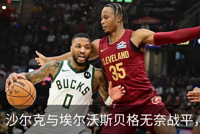 沙尔克与埃尔沃斯贝格无奈战平，双方均未进球