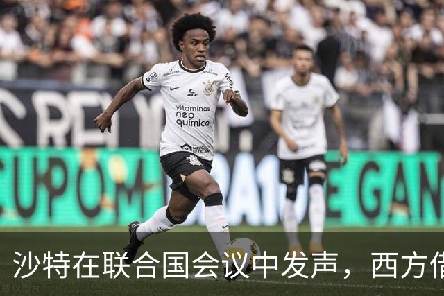 沙特在联合国会议中发声，西方借机抨击中国，中方保持冷静