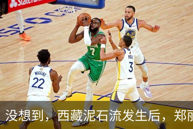 没想到，西藏泥石流发生后，郑丽文竟因一个举动赚足大陆口碑