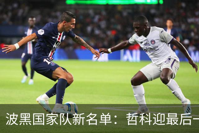 波黑国家队新名单：哲科迎最后一战，三新人首次入选