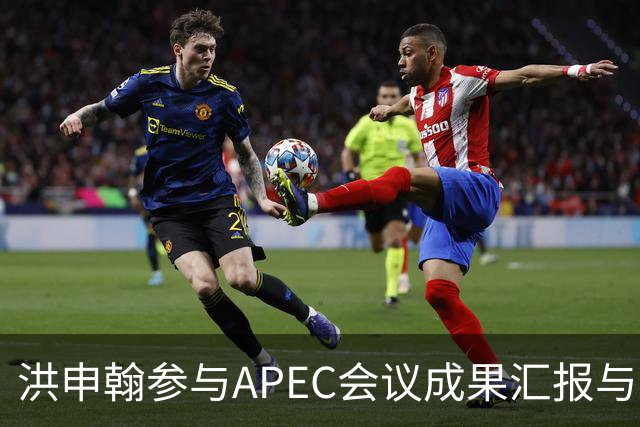洪申翰参与APEC会议成果汇报与台方声明