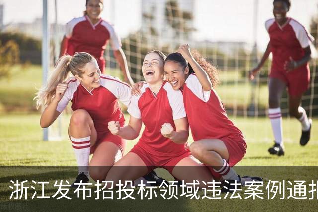 浙江发布招投标领域违法案例通报