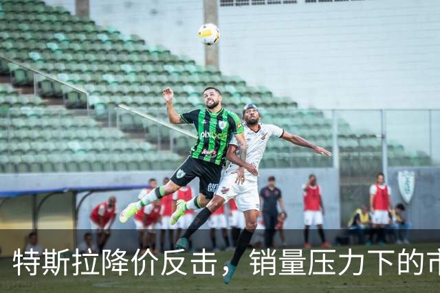 特斯拉降价反击，销量压力下的市场变局