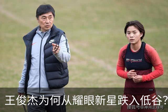 王俊杰为何从耀眼新星跌入低谷？