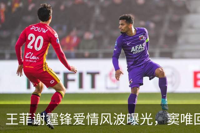 王菲谢霆锋爱情风波曝光，窦唯回忆往昔
