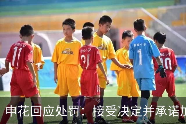 申花回应处罚：接受决定并承诺加强主场管理