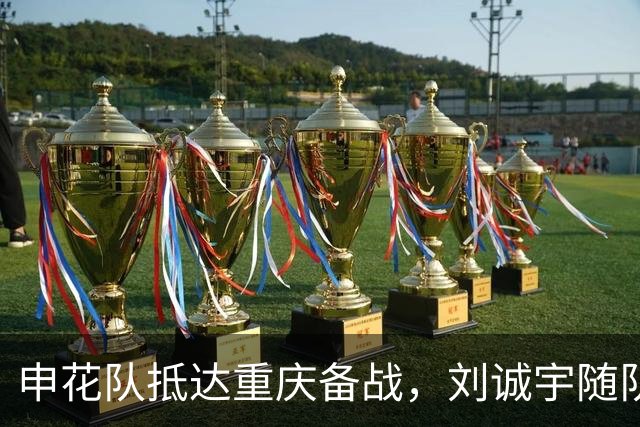 申花队抵达重庆备战，刘诚宇随队出征