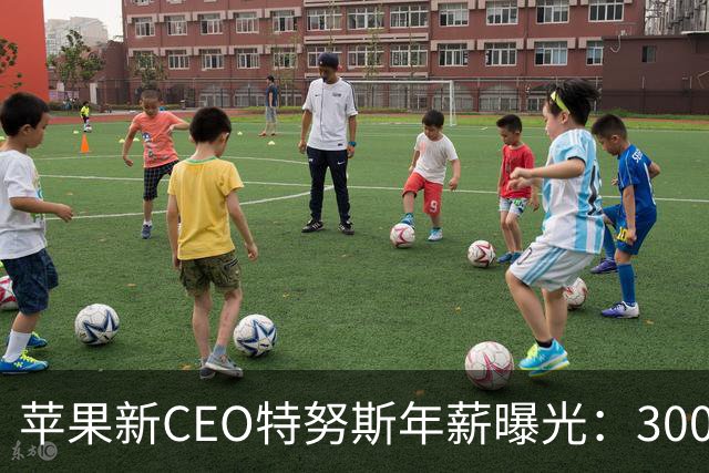 苹果新CEO特努斯年薪曝光：300万美元基本工资，加上股权奖励5537万美元，预告下周新品发布