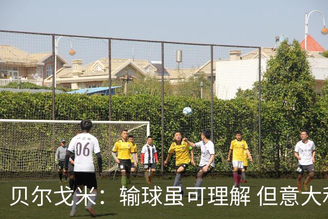 贝尔戈米：输球虽可理解 但意大利队缺乏联赛特色
