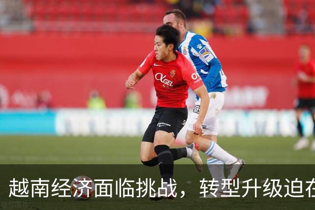 越南经济面临挑战，转型升级迫在眉睫