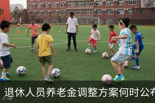 退休人员养老金调整方案何时公布，关注下周动态