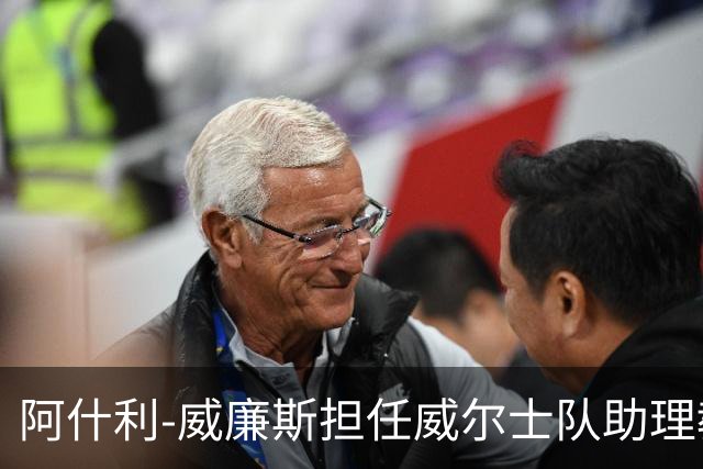 阿什利-威廉斯担任威尔士队助理教练