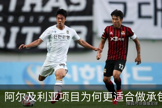 阿尔及利亚项目为何更适合做承包方
