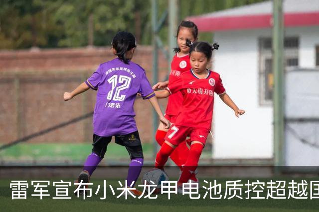 雷军宣布小米龙甲电池质控超越国家标准