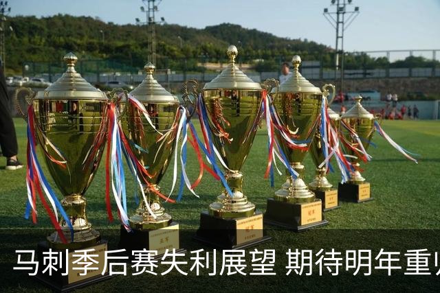 马刺季后赛失利展望 期待明年重归巅峰