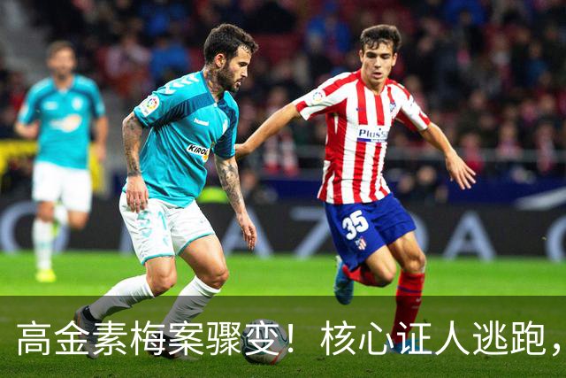 高金素梅案骤变！核心证人逃跑，郑丽文面临困境