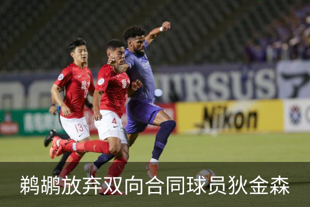 鹈鹕放弃双向合同球员狄金森