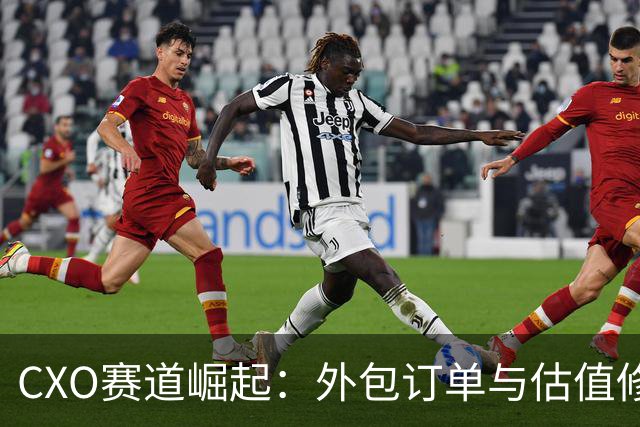 CXO赛道崛起：外包订单与估值修复共振推动上涨